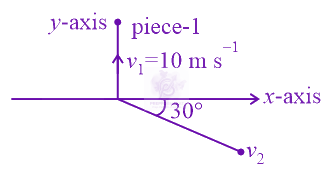 JEE Main 2021 Physics, Center of Mass Momentum and Collision — question figure