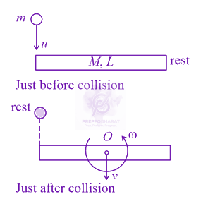 JEE Main 2021 Physics, Center of Mass Momentum and Collision — solution figure
