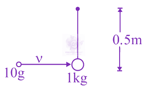 JEE Main 2021 Physics, Center of Mass Momentum and Collision — question figure