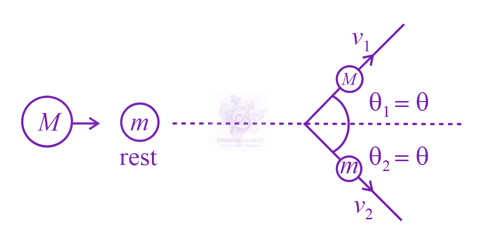 JEE Main 2021 Physics, Center of Mass Momentum and Collision — solution figure
