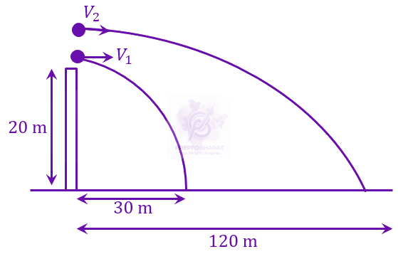 JEE Main 2023 Physics, Center of Mass Momentum and Collision — solution figure