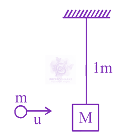 JEE Main 2024 Physics, Center of Mass Momentum and Collision — solution figure