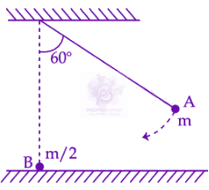 JEE Main 2025 Physics, Center of Mass Momentum and Collision — question figure