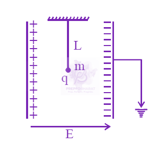 JEE Main 2019 Physics, Electrostatics — question figure