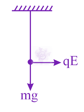 JEE Main 2019 Physics, Electrostatics — solution figure