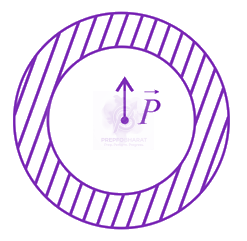 JEE Main 2019 Physics, Electrostatics — question figure