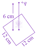 JEE Main 2021 Physics, Electrostatics — question figure