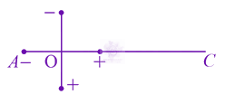 JEE Main 2021 Physics, Electrostatics — question figure