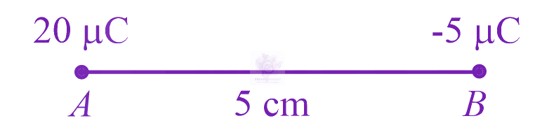 JEE Main 2021 Physics, Electrostatics — question figure