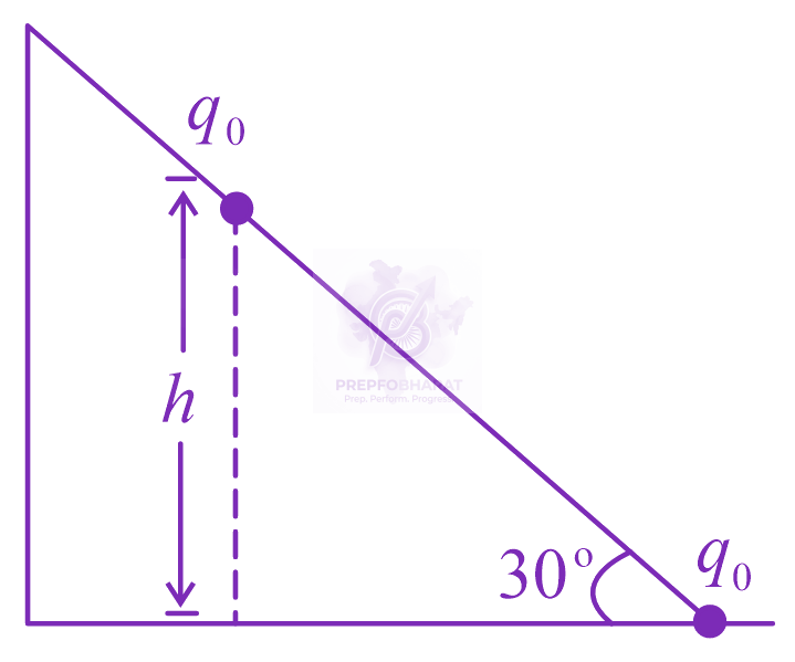 JEE Main 2023 Physics, Electrostatics — question figure