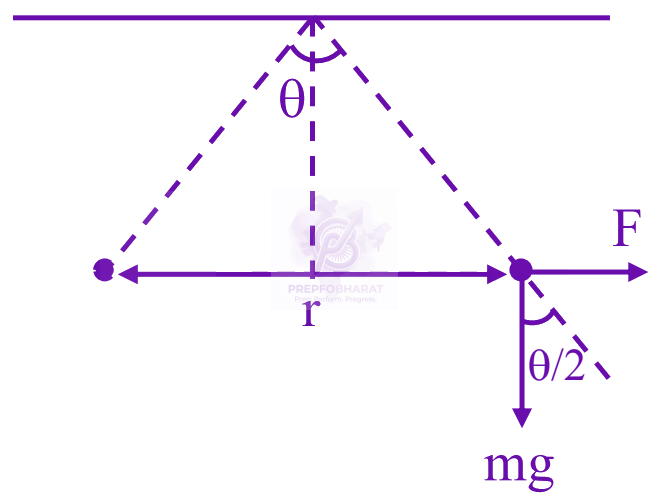 JEE Main 2024 Physics, Electrostatics — solution figure