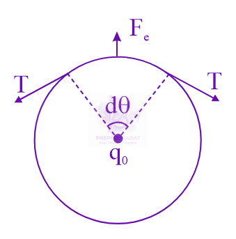 JEE Main 2024 Physics, Electrostatics — solution figure