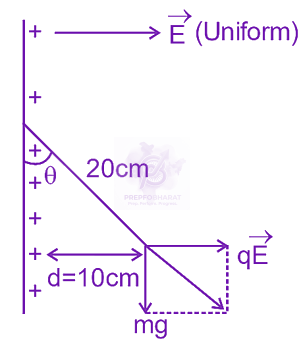JEE Main 2024 Physics, Electrostatics — solution figure