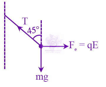 JEE Main 2025 Physics, Electrostatics — solution figure