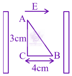 JEE Main 2025 Physics, Electrostatics — solution figure