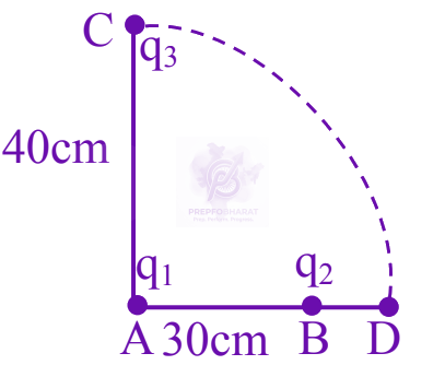 JEE Main 2025 Physics, Electrostatics — question figure