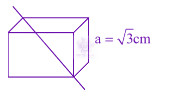 JEE Main 2025 Physics, Electrostatics — solution figure