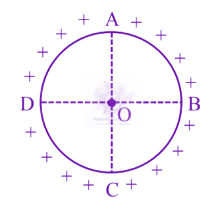 JEE Main 2025 Physics, Electrostatics — question figure
