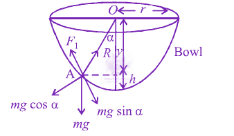 JEE Main 2012 Physics, Laws of Motion — solution figure