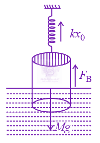 JEE Main 2013 Physics, Laws of Motion — solution figure