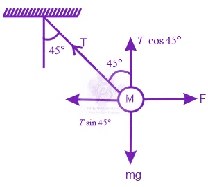JEE Main 2019 Physics, Laws of Motion — solution figure