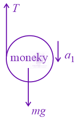 JEE Main 2022 Physics, Laws of Motion — solution figure 1