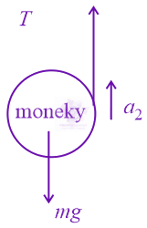 JEE Main 2022 Physics, Laws of Motion — solution figure 2