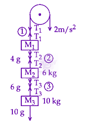 JEE Main 2024 Physics, Laws of Motion — question figure