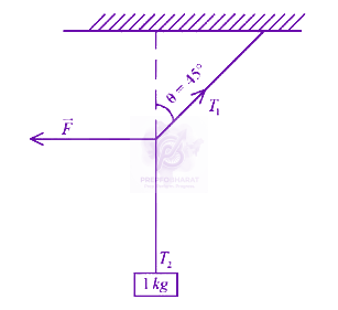 JEE Main 2024 Physics, Laws of Motion — question figure