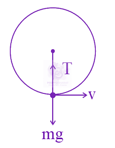 JEE Main 2024 Physics, Laws of Motion — solution figure