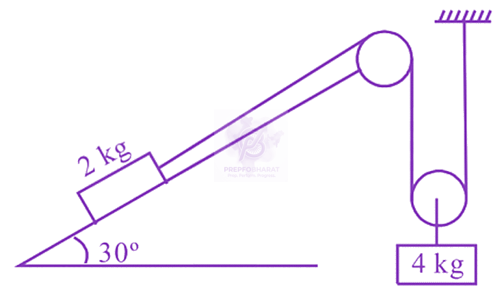 JEE Main 2024 Physics, Laws of Motion — question figure