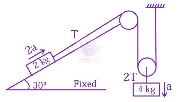 JEE Main 2024 Physics, Laws of Motion — solution figure
