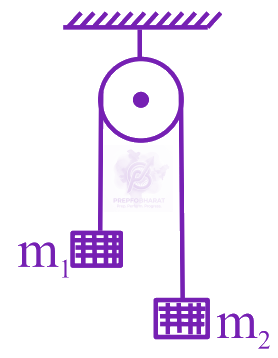 JEE Main 2024 Physics, Laws of Motion — question figure
