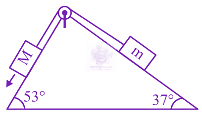 JEE Main 2024 Physics, Laws of Motion — question figure