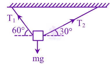 JEE Main 2025 Physics, Laws of Motion — question figure