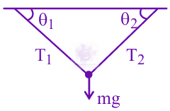 JEE Main 2025 Physics, Laws of Motion — solution figure