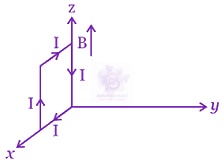 JEE Main 2015 Physics, Magnetic Effects of Current — question figure 3