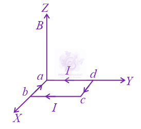 JEE Main 2017 Physics, Magnetic Effects of Current — option D figure