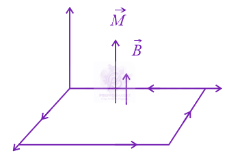JEE Main 2017 Physics, Magnetic Effects of Current — solution figure