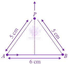 JEE Main 2019 Physics, Magnetic Effects of Current — question figure