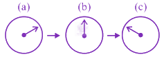 JEE Main 2020 Physics, Magnetic Effects of Current — option B figure