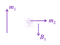 JEE Main 2021 Physics, Magnetic Effects of Current — solution figure