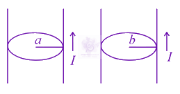 JEE Main 2021 Physics, Magnetic Effects of Current — question figure