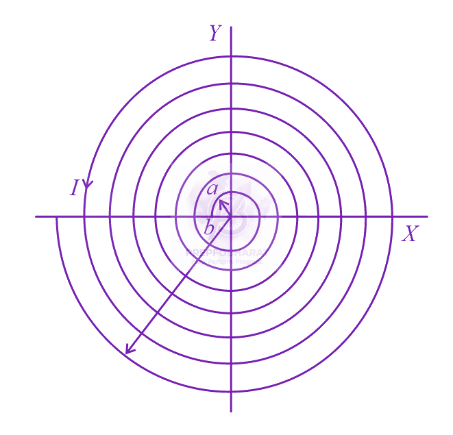 JEE Main 2021 Physics, Magnetic Effects of Current — solution figure