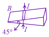 JEE Main 2022 Physics, Magnetic Effects of Current — question figure
