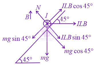 JEE Main 2022 Physics, Magnetic Effects of Current — solution figure