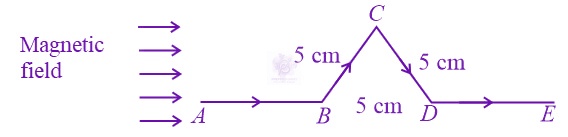 JEE Main 2022 Physics, Magnetic Effects of Current — question figure