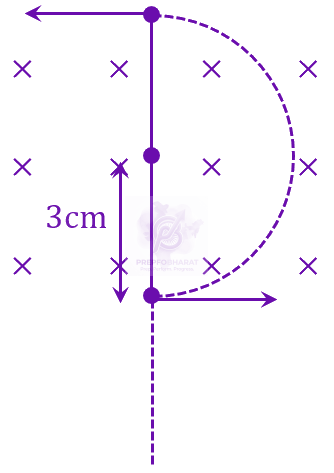 JEE Main 2023 Physics, Magnetic Effects of Current — solution figure