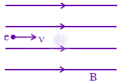 JEE Main 2024 Physics, Magnetic Effects of Current — solution figure