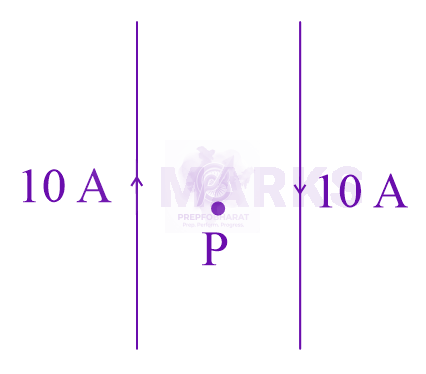 JEE Main 2024 Physics, Magnetic Effects of Current — question figure